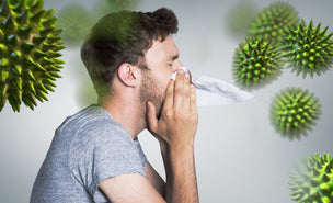 nutriKorner