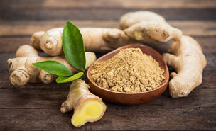 nutriKorner